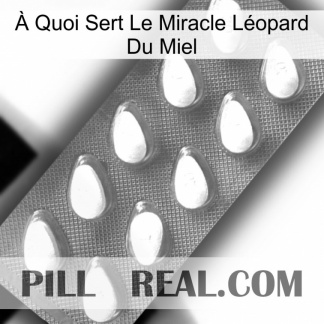 À Quoi Sert Le Miracle Léopard Du Miel cialis1